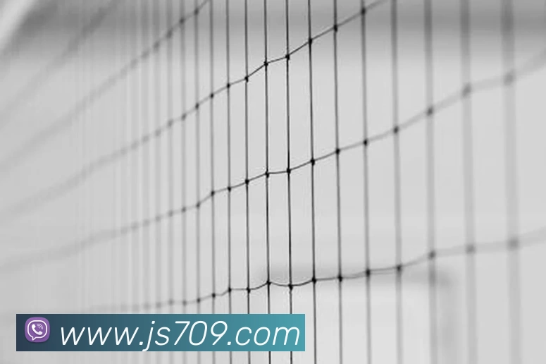 金沙集团平台生态图